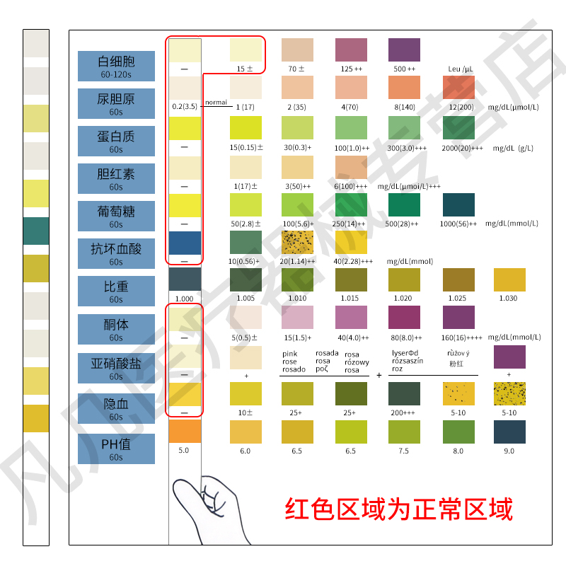 艾科尿常规11项尿液分析仪试纸便携尿家用微量尿检仪尿蛋白检测仪 - 图0