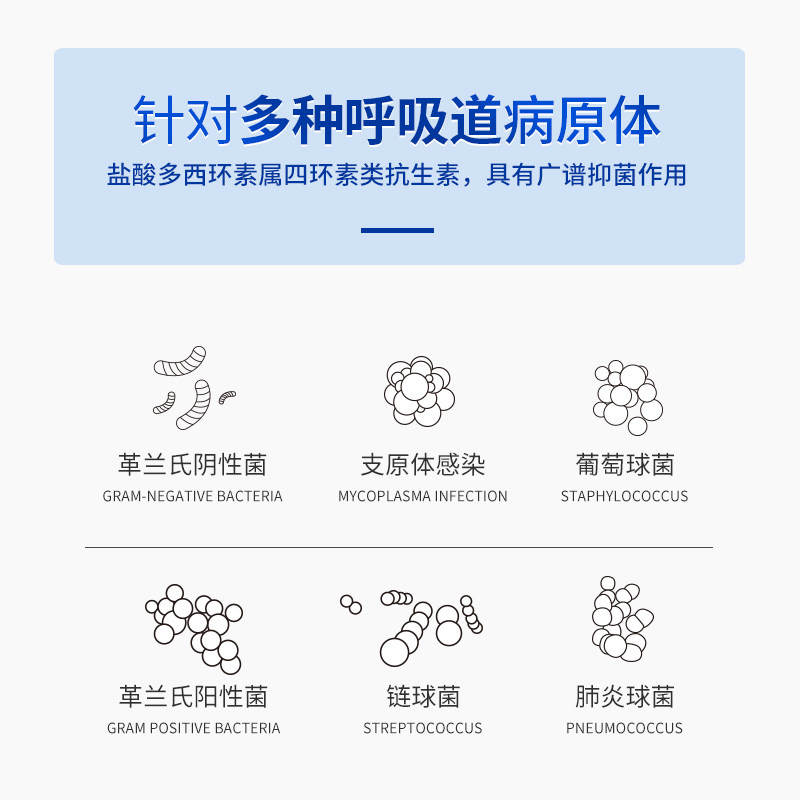 宠物盐酸多西环素片猫咪感冒咳嗽狗狗喷嚏流涕窝咳鼻支支原体河欣