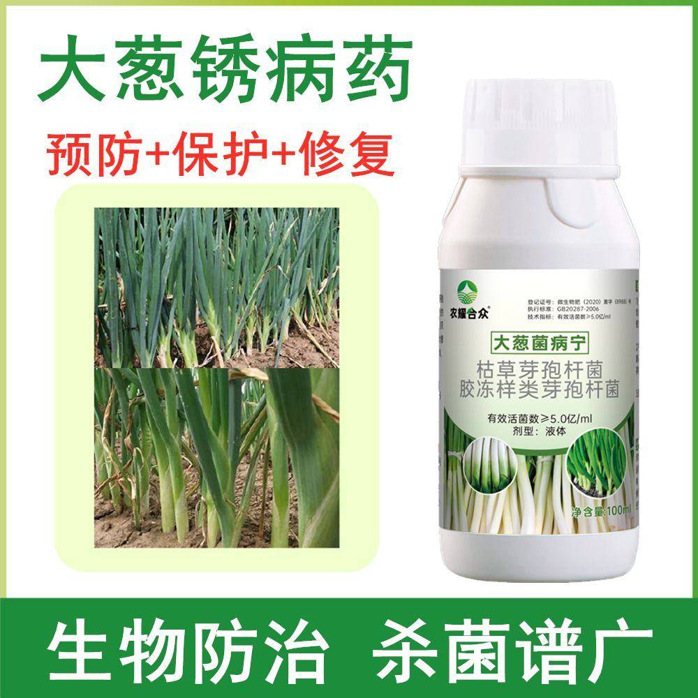 大葱灰霉病专用药病菌净防治锈病白斑病根腐病四季葱防病药菌立清 - 图1