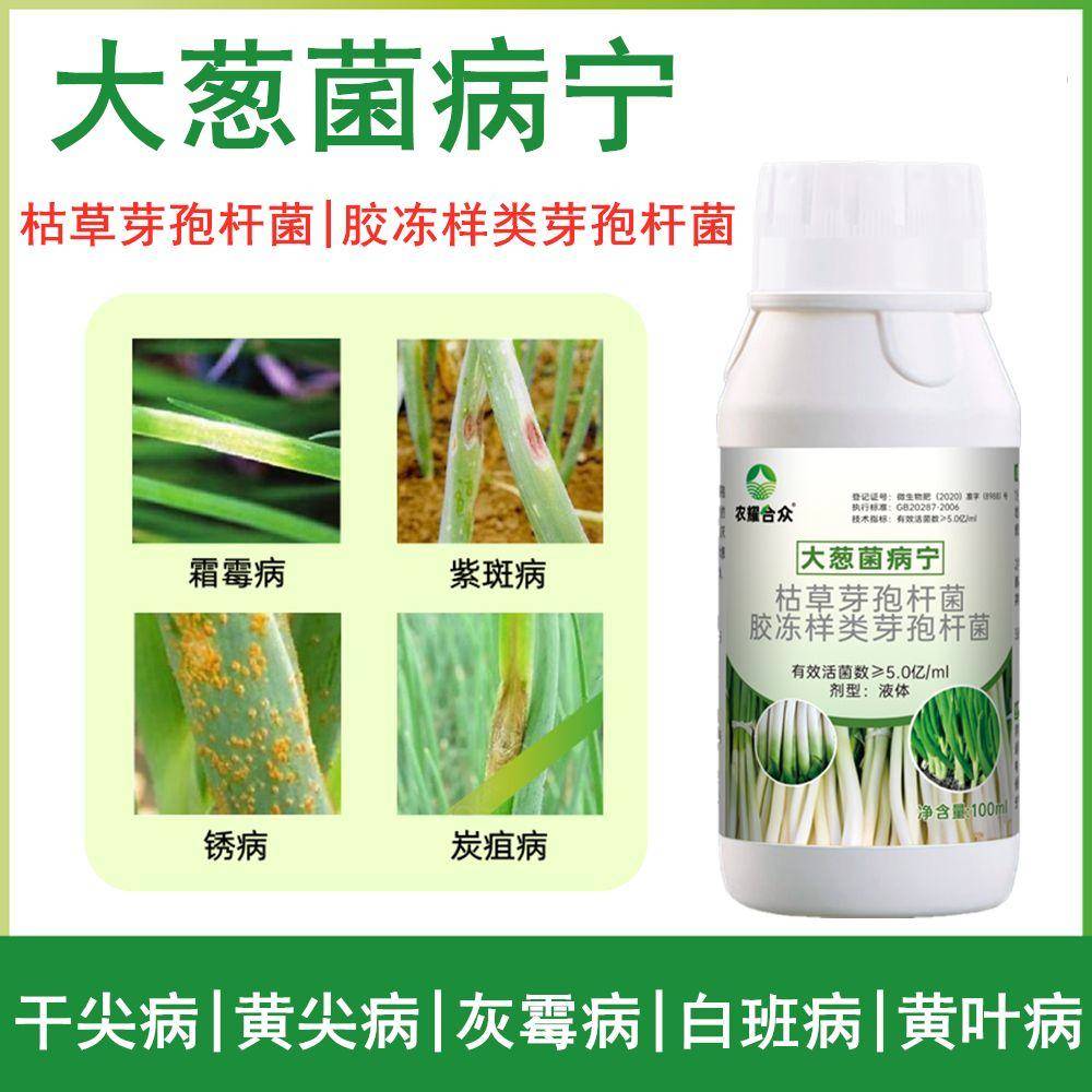 大葱灰霉病专用药病菌净防治锈病白斑病根腐病四季葱防病药菌立清 - 图0