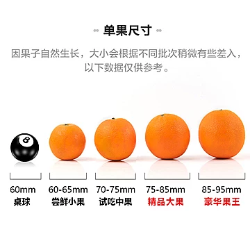 【一品优】江西赣南脐橙精品果5斤[2元优惠券]-寻折猪