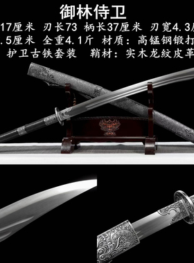 春刀镇宅宝剑刀剑雁翎刀明刀一体唐横刀防身冷兵器未开刃龙泉绣春
