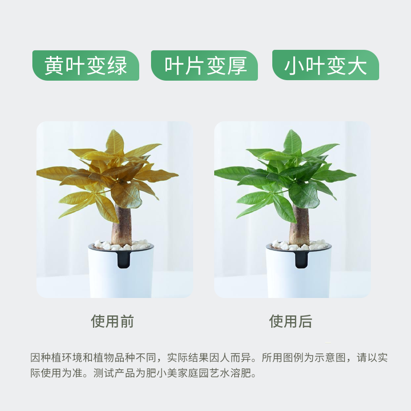 花肥盆栽发财树绿萝茉莉花通用型家用磷酸二氢钾肥料花卉专用肥-图2