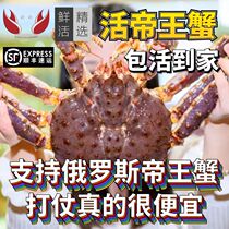 Monarch Crab Fresh Seafood 10 Catty Crab Giant Crab Lobster Giant Long Foot Crab Aquatic Kits Live Home