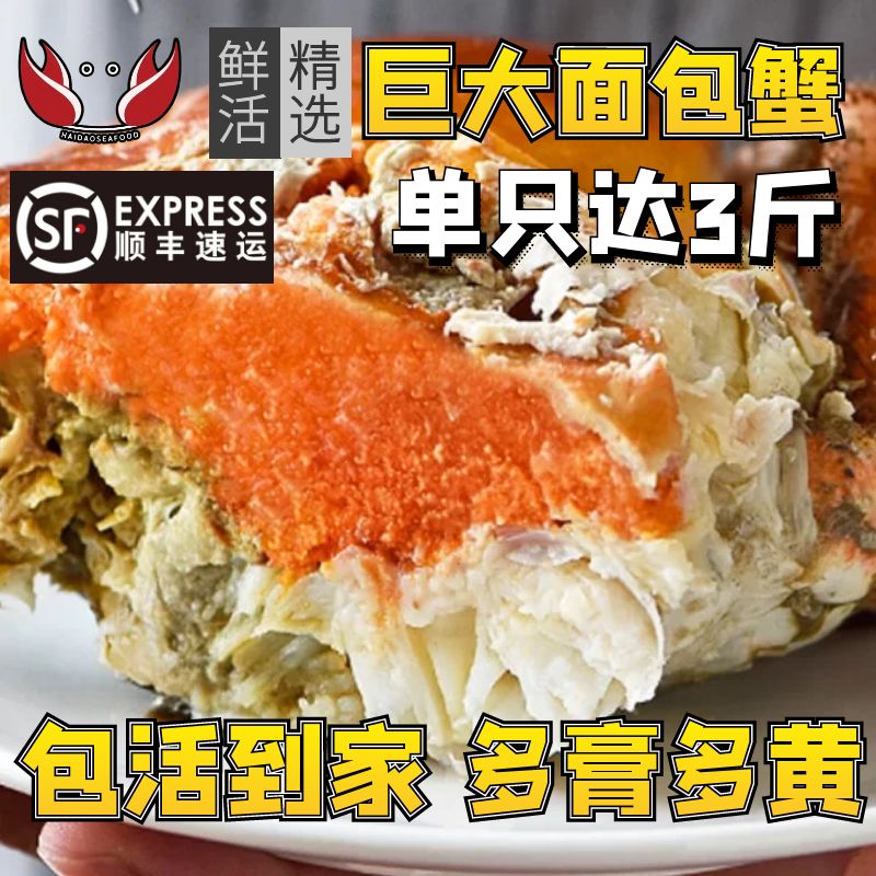 面包蟹鲜活特大螃蟹鲜活深水蟹珍宝蟹熟冻肉蟹英国爱尔兰母蟹膏蟹 - 图1