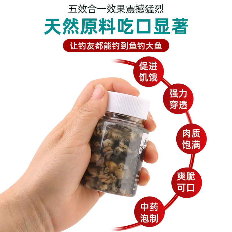 钓鱼血螺饵料 鲜螺肉鱼饵 血蚕螺丝肉饵鱼饵专攻青草鲤黑鲶鱼饵料 - 图2