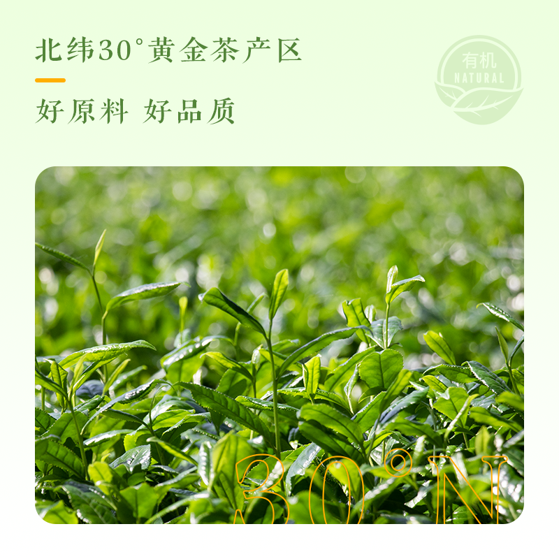 和风宇治有机抹茶粉五十铃0添加蔗糖点茶国标一级冲饮茶道条装14g,淘宝优惠券,粉丝福利购,淘宝优惠卷