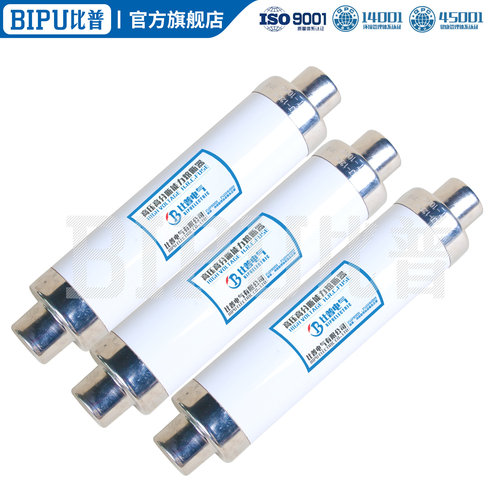 10kv高分段能力熔断器XRNT-10/50A 63A 125A高压限流熔断器 - 图1