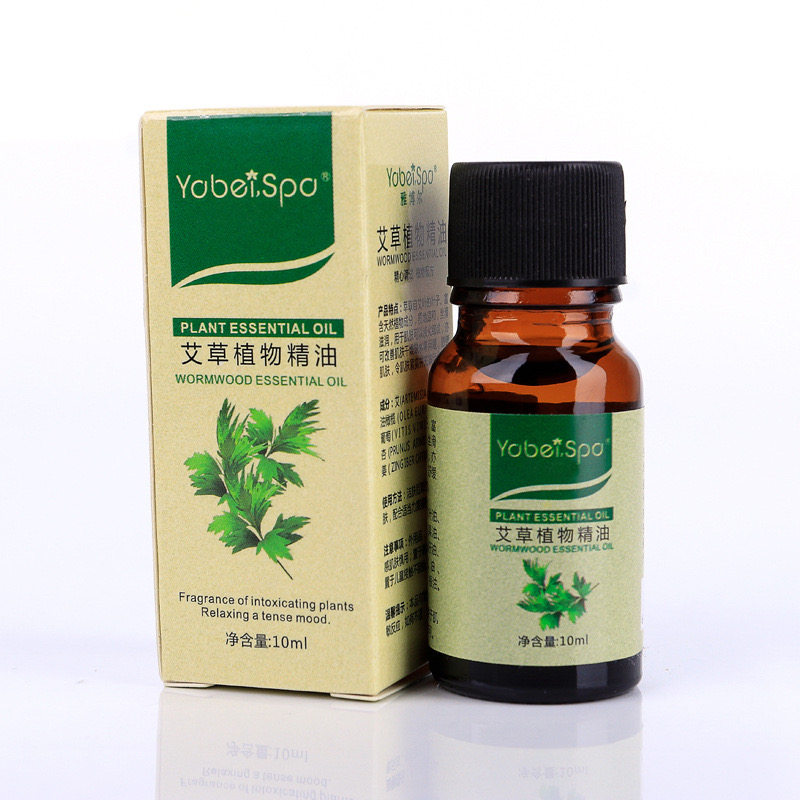 南阳艾草:千年传承与现代价值