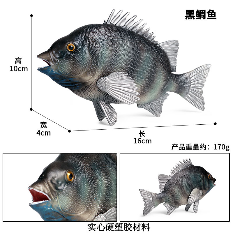 仿真海洋生物模型淡水鱼鲤鱼苏眉鱼食人鱼鲫鱼安康鱼鳄雀鳝摆件-图2