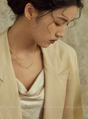 AIR-HORIZON钢女多层项链蛇骨颈