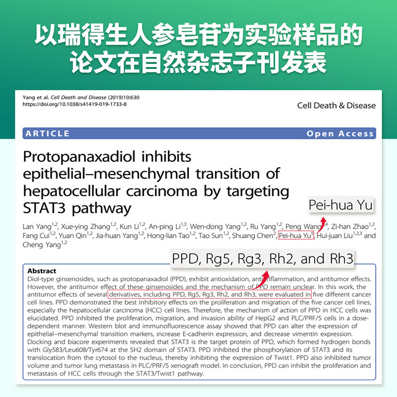 瑞得生16种稀有 rh2 rg3 3人参皂苷 瑞得生海外人参/园参及其制品