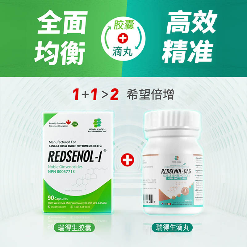 瑞得生+滴丸多种稀有人参皂苷胶囊 瑞得生海外人参/园参及其制品