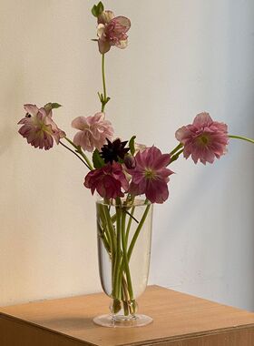 轻奢中古透明玻璃花瓶高脚杯水养