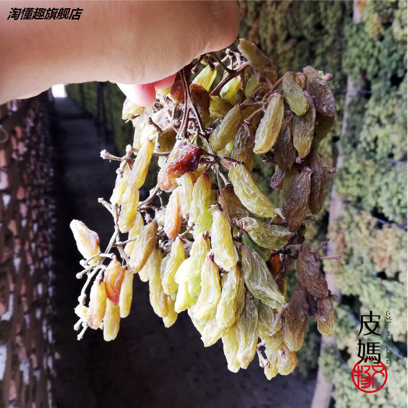 绿香妃王葡萄干新疆特级绿葡萄干 淘懂趣葡萄干