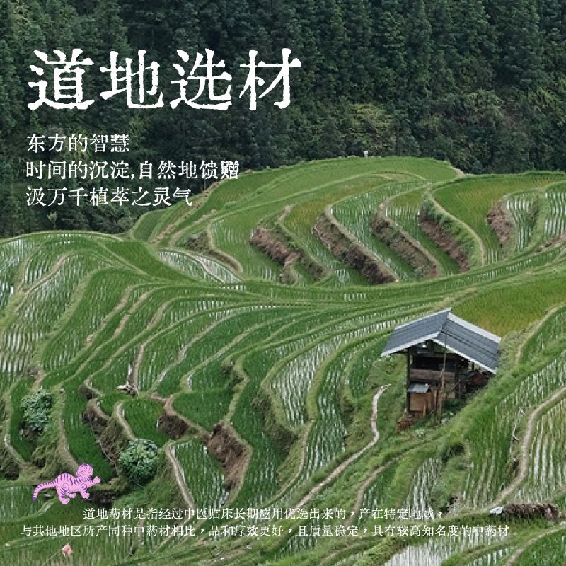 【母亲节礼物】真不二小茴香颈椎枕加热热敷艾灸枕头护颈枕养生