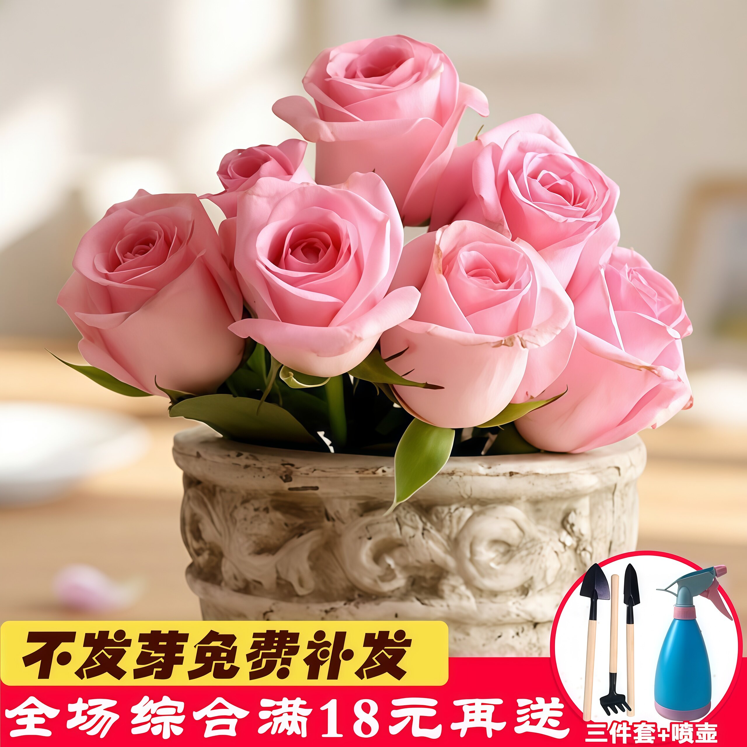 拍2件！四季播种玫瑰花种子200粒