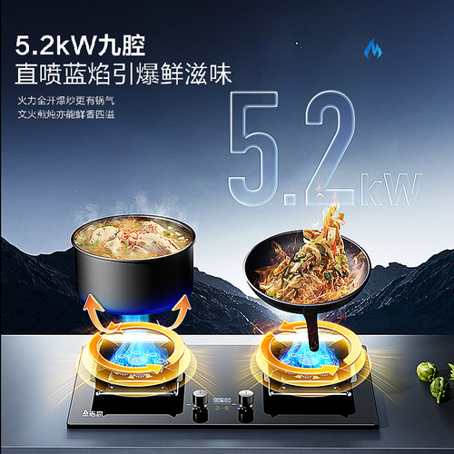 志高家用双灶嵌入式猛火天然气定时燃气灶具液化气煤气灶台式炉具 - 图0