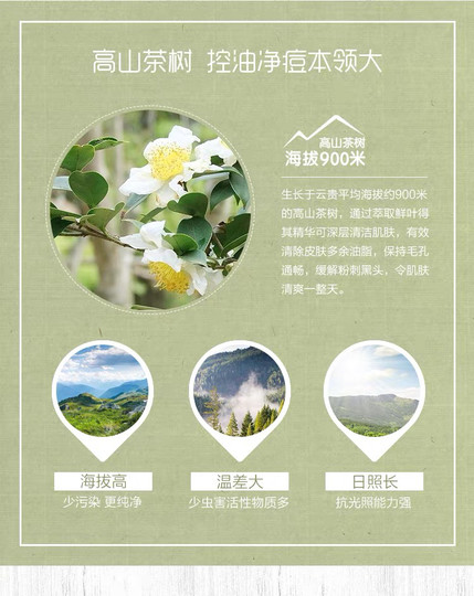 Botanical Doctor - El aceite de esencia de árbol de té alpino controla la grasa, los poros finos, equilibra el agua y la grasa, repara la piel del acné, contador genuino