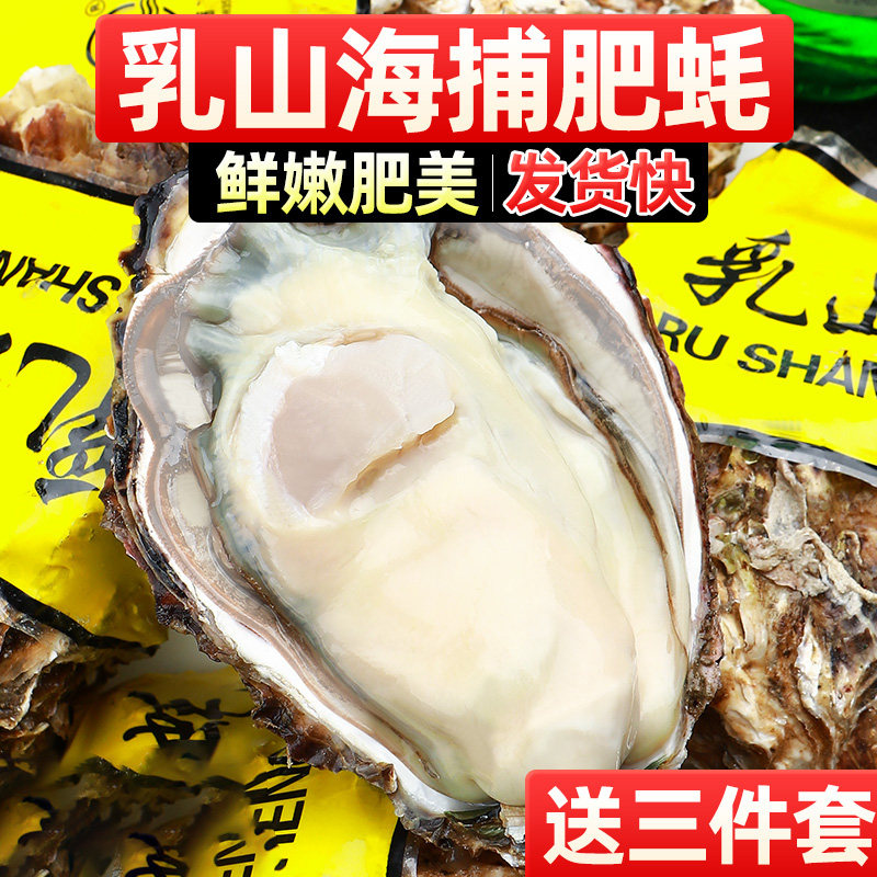 【10斤净重】精品大号乳山生蚝鲜活牡蛎海鲜包肥刺身金标送礼好货,淘宝优惠券,粉丝福利购,淘宝优惠卷