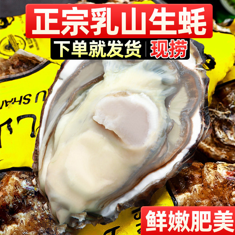 【10斤净重】精品大号乳山生蚝鲜活牡蛎海鲜包肥刺身金标送礼好货,淘宝优惠券,粉丝福利购,淘宝优惠卷