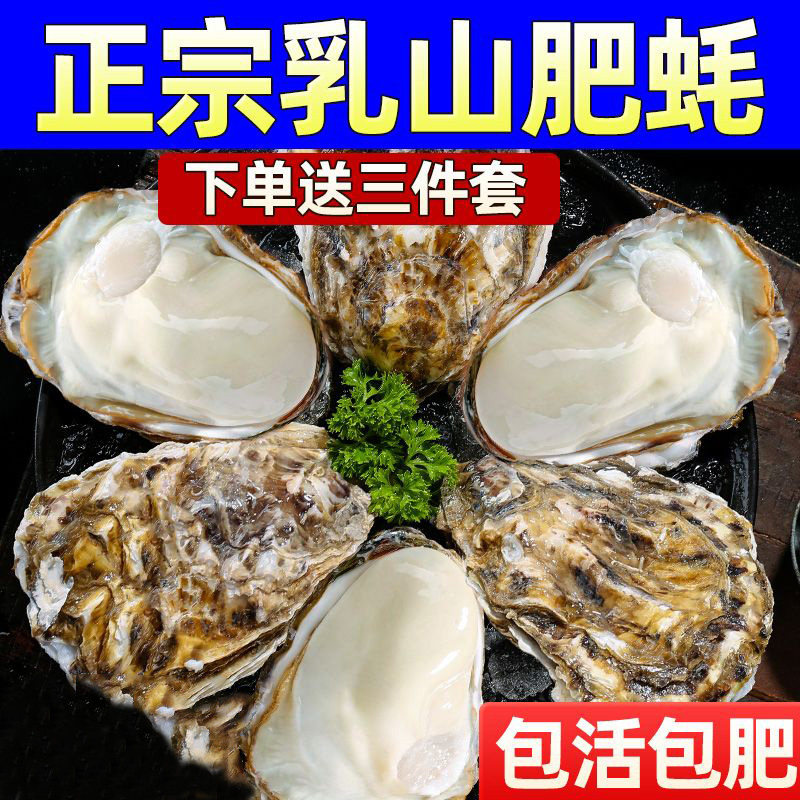 【10斤净重】精品大号乳山生蚝鲜活牡蛎海鲜包肥刺身金标送礼好货,淘宝优惠券,粉丝福利购,淘宝优惠卷