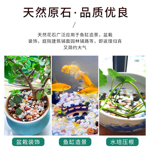 天然彩石鱼缸专用铺底砂多肉盆栽铺面石子五彩石头雨花石造景摆件 - 图1