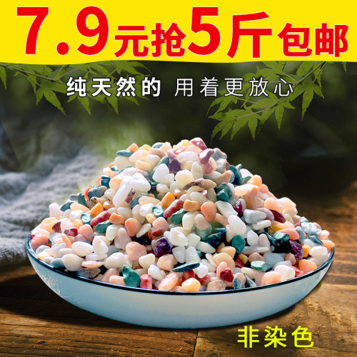 天然彩石鱼缸专用铺底砂多肉盆栽铺面石子五彩石头雨花石造景摆件 - 图3
