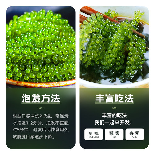 儿童海葡萄水葡萄新鲜绿色鱼子酱盐渍海葡萄官方旗舰店爆珠海葡萄 - 图3