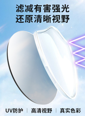 汇鼎镜片 双梁墨镜飞行款员大框太阳镜偏光墨镜驾驶眼镜1226