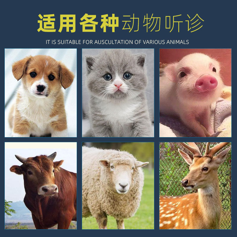 兽用听诊器双管宠物专用专业单面单用养殖场用猫狗牛羊猪听诊器,淘宝优惠券,粉丝福利购,淘宝优惠卷