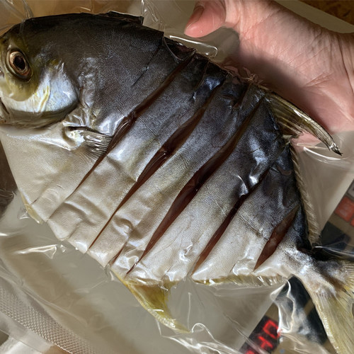 淡晒金昌鱼鱼干深海鱼干咸鱼金鲳鱼干金仓鱼阳江特产海鲜干货5条 - 图3