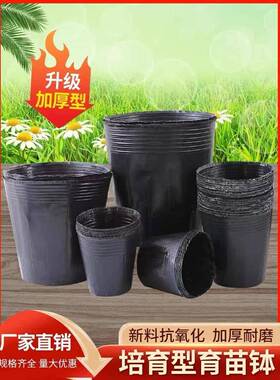 育苗营养杯育苗袋大号一次性塑料花盆育苗杯营养钵加厚营养袋农用