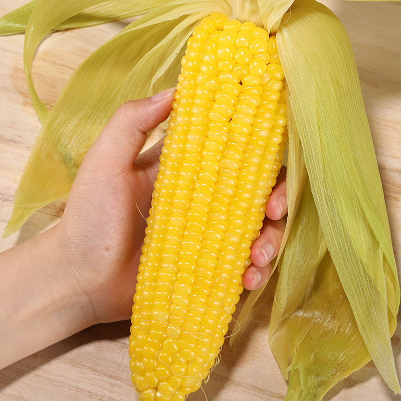 【新客专享】寻么新鲜玉米东北糯玉米棒真空非转甜糯粘10支包邮,淘宝优惠券,粉丝福利购,淘宝优惠卷