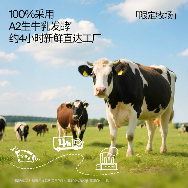 Dr. Cheese's Own Dairy Factory Baby Label Yogurt