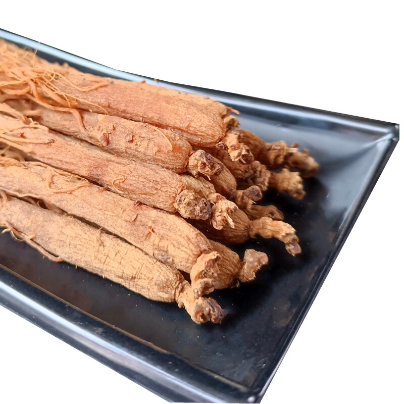  宇参源滋补养生人参/园参及其制品