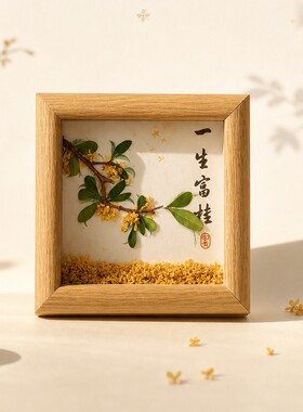 中秋干桂花标本装饰画DIY材料包