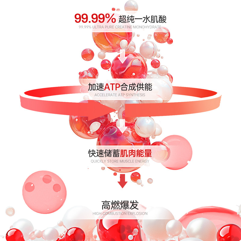 诺特兰德肌酸一水肌酸耐力爆发力锌镁肌酸粉甜菜根粉非支链氨基酸,淘宝优惠券,粉丝福利购,淘宝优惠卷