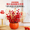 Xijiecai 2025 housewarming ornaments decoration