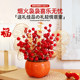 Xijiecai 2025 housewarming ornaments decoration