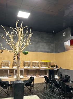 仿真枯树大型造型干枝鹦鹉站架假树道具树酒店客厅室内咖啡店直销