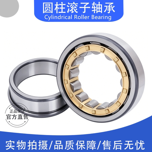 圆柱滚子轴承NJ213 214 215 216 217 218 219 220 221 222 224EM - 图1