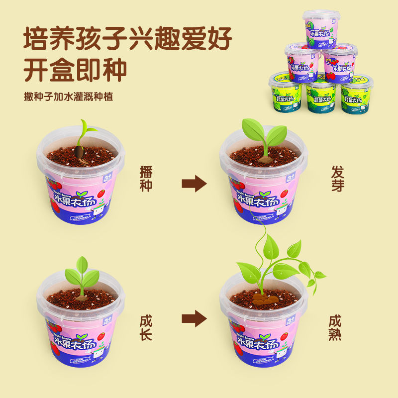 儿童种植小盆栽幼儿园小学生迷你DIY自种蔬果花卉植物生长观察 - 图0