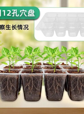 育苗盒加高可调节12孔透气保温实用园艺播种材质保湿神器带孔养护