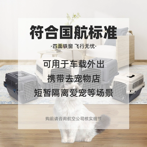 Airlines Airlines Airlines Standar