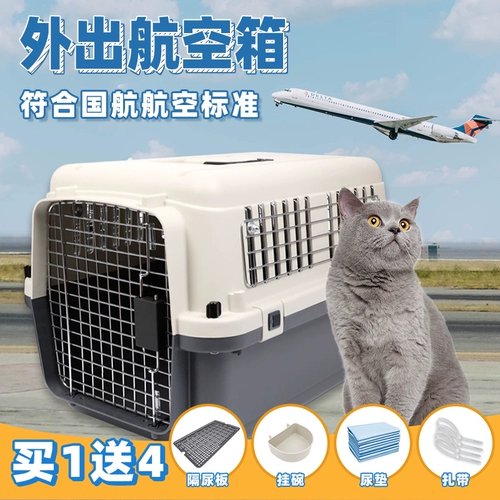 Airlines Airlines Airlines Standar