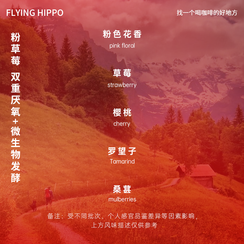 FLYINGHIPPO哥伦比亚天堂庄园粉草莓/樱花/蓝莓/桂花手冲咖啡豆-图0