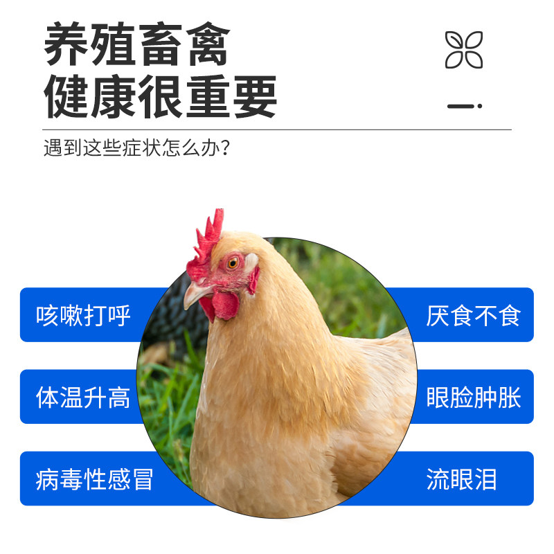 牧品整箱10瓶装兽用药双黄连口服液猪牛羊鸡鸭鹅禽用感冒药抗病毒