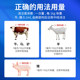 Veterinary anthelmintics for pigs, cattle and sheep, both internal and external, are available for pregnant animals
