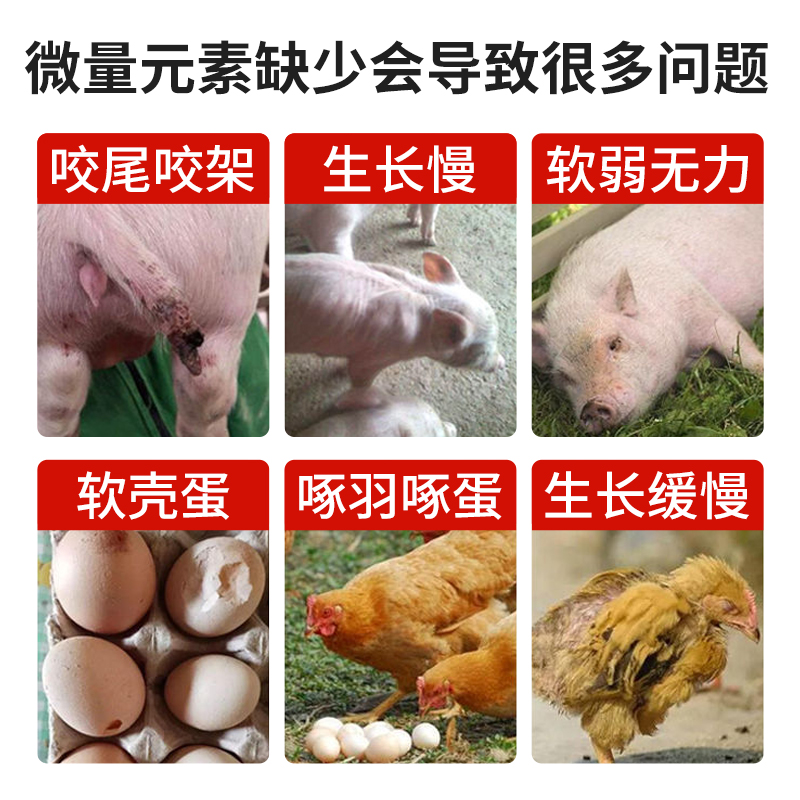 钙磷十八补兽用微量元素母牛羊猪用鸡鸭鸽用速补钙粉禽骨粉添加剂 - 图0